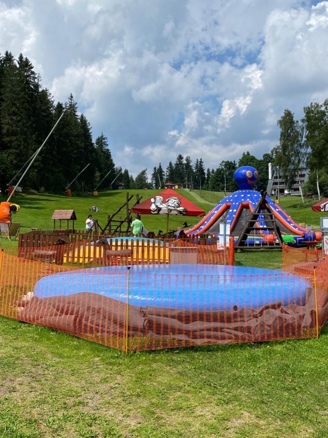 Pension & Restaurant Krakonos Harrachov Exterior photo